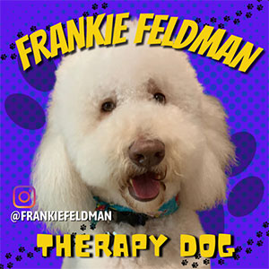 Frankie Feldman Therapy Dog @frankiefeldman
