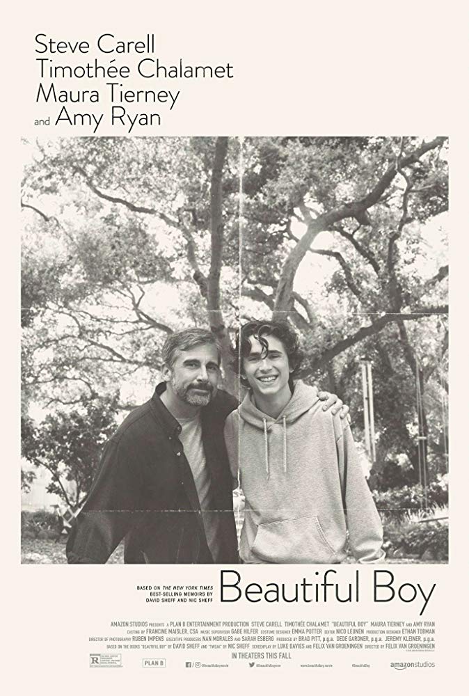 Beautiful Boy review