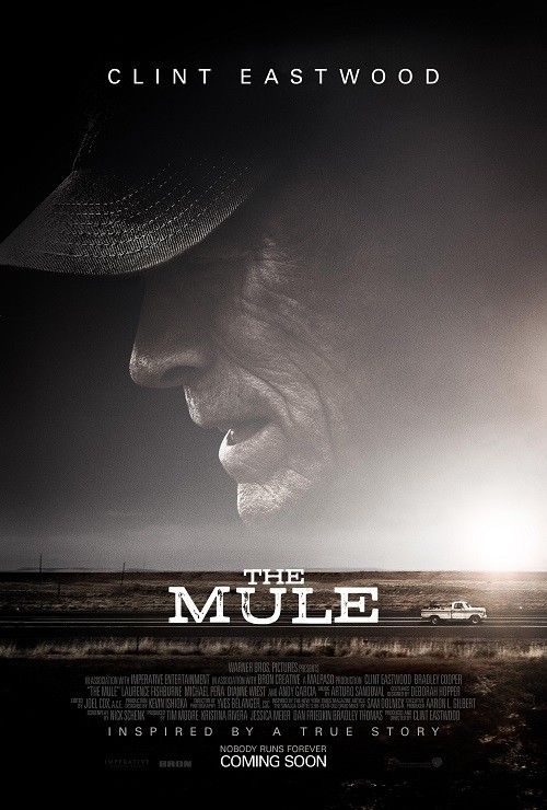 The Mule Review
