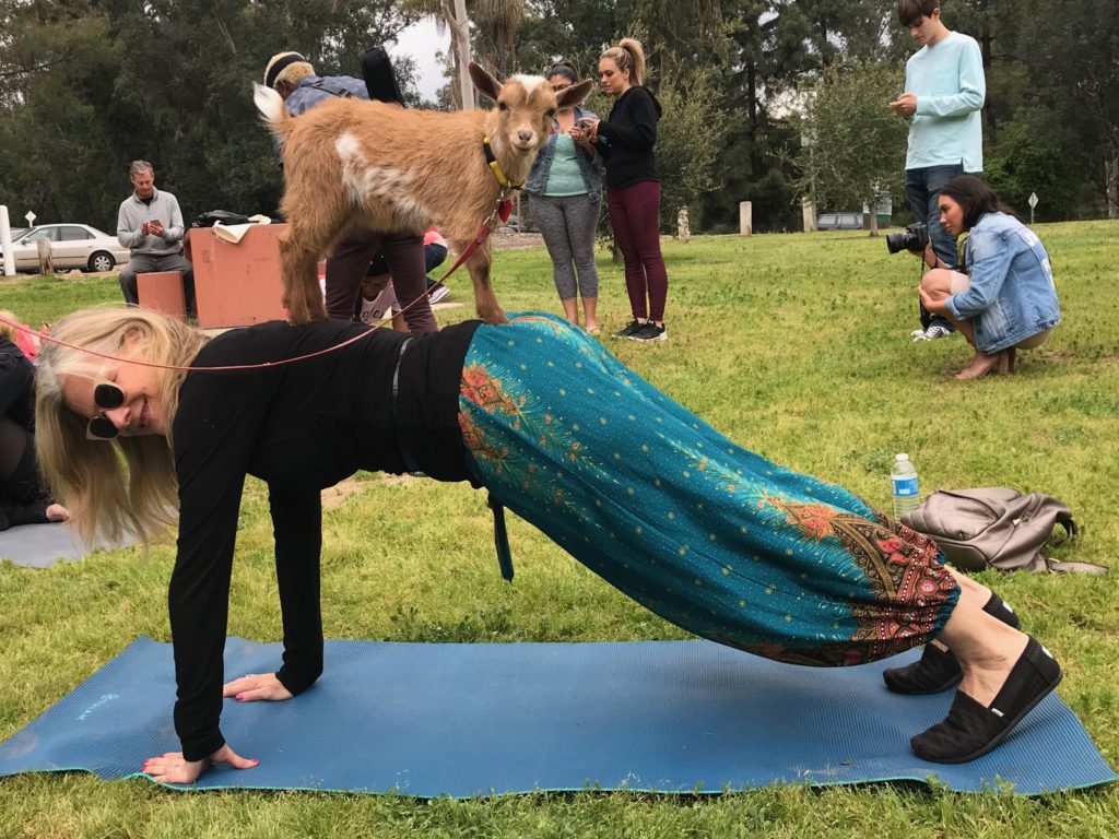 ANIMAL CRIBS Host Antonio Ballatore Gives Your Own Pet Paradise Tips