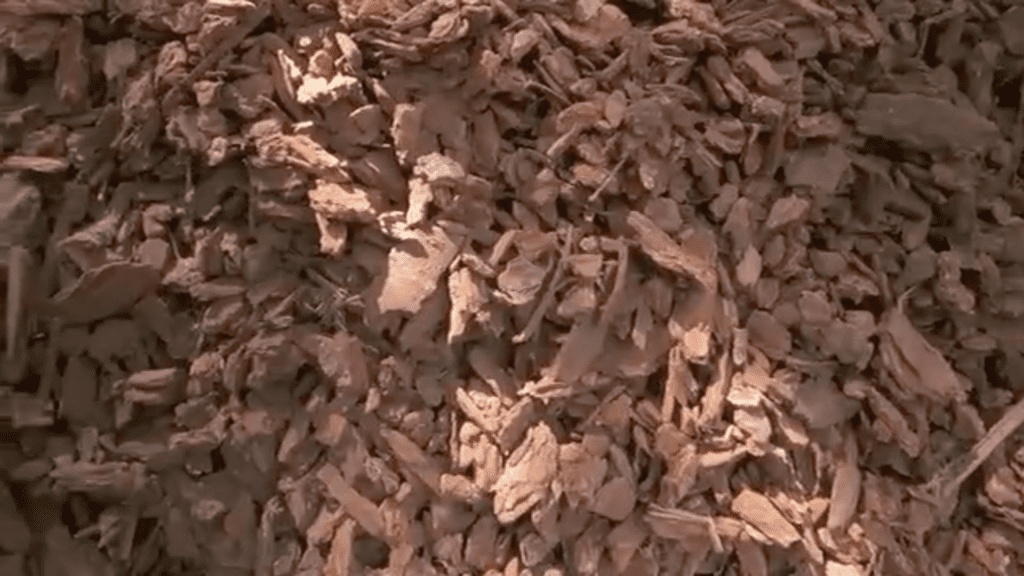 ANIMAL CRIBS Host Antonio Ballatore Gives Your Own Pet Paradise Tips