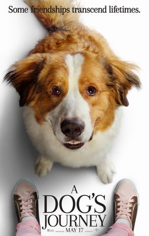 A Dog's Journey review