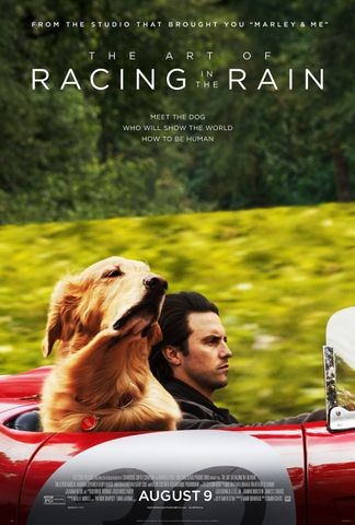 The Art of Racing in the Rain review