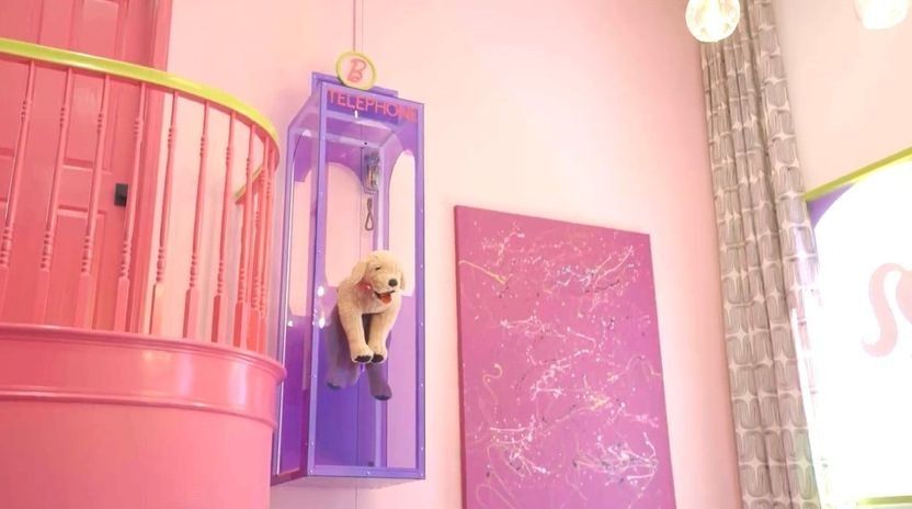 This purple plastic dog elevator didn't make the cut.
