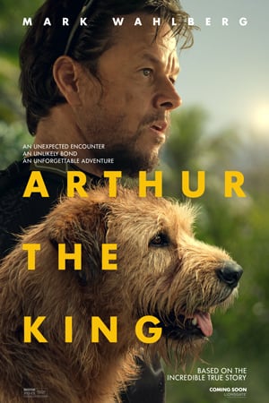 Arthur the King review