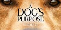 Dogs purppose review gold review