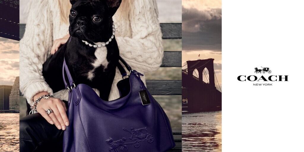 Lady Gaga's French Bulldog is the New Face of Coach
