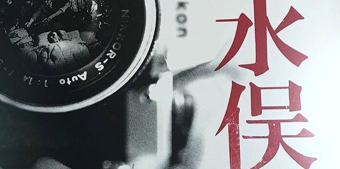 Minamata review