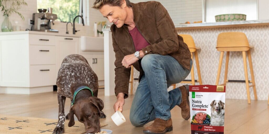 Rob Lowe Hollywood dog dad