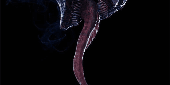 Venom Review