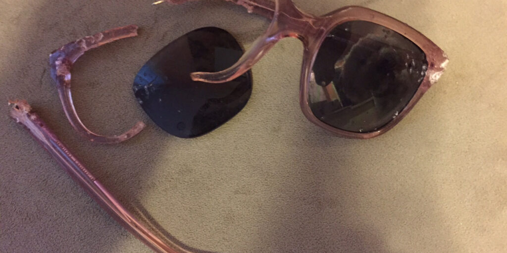 Warby Parker in Ruins