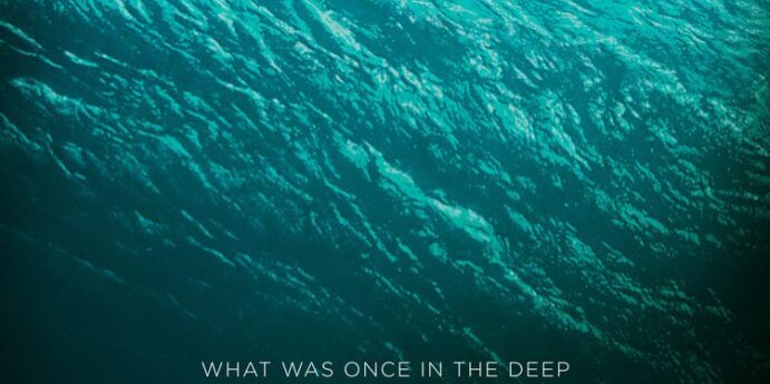 The Shallows