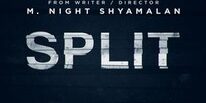 founder review split review 1