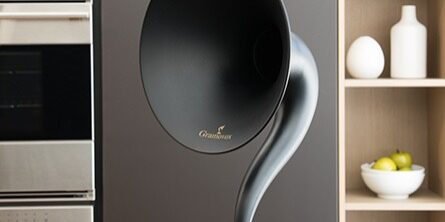 gramovox