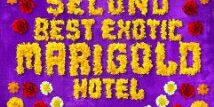 the_second_best_exotic_marigold_hotel_t