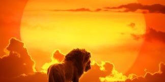 The Lion King review