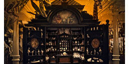 wonderstruck review